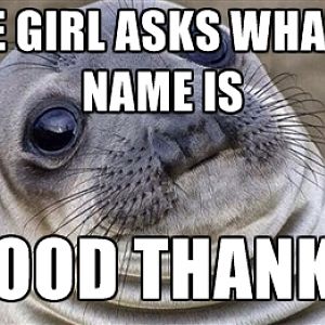 48857073
