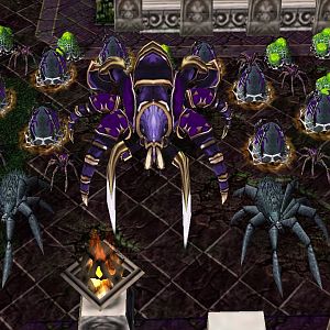 Naxxramas - Arachnid Quarter's Third Wing