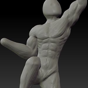 Anatomy Practice