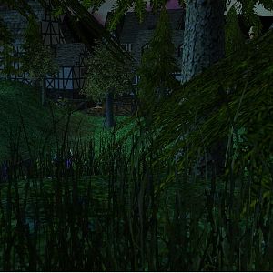 A path to the village