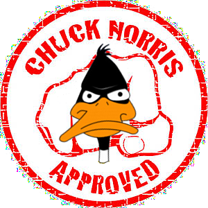 chuck norris approved