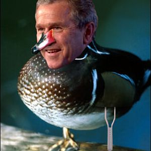 THE ELADER DUCK THIS DUCK MUST DIE!