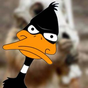 Duck Rebellion!