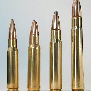 More random calibers, the one furthest left is the 5.56x45mm ball round I think