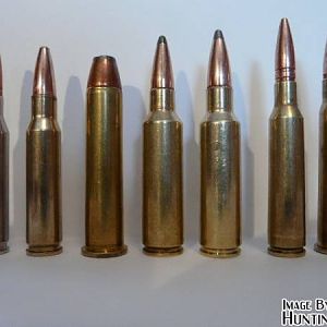 More random hunting rounds, several are wildcats and I can't identify a single one