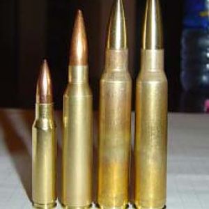 .308 Winchester, .338 Lapua, .408 Cheytac