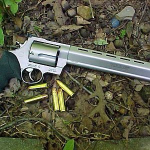 Taurus Raging Bull Model 500