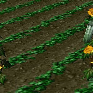 Hm Plants Grow