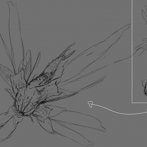 Step4