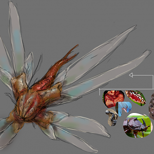 Step5
