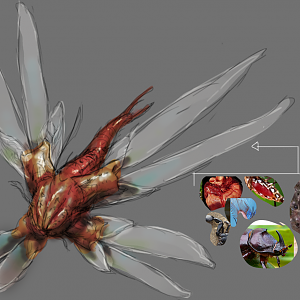 Step6
