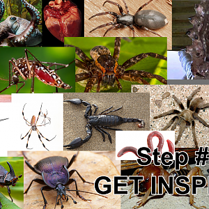 Inspiration_board