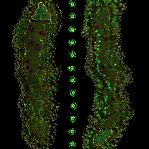 Map Overview