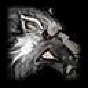 PASWolf