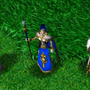 Alliance Support Caster Units