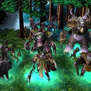 Kaldorei Druid Heroes