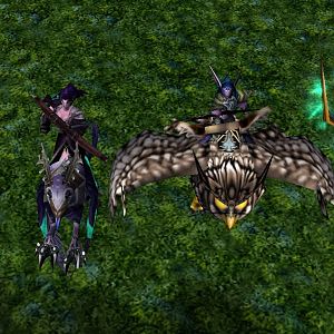 Kaldorei Air Units