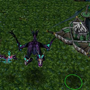 Kaldorei Special Air Units