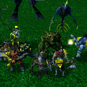 Tribes