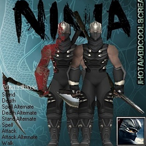 NinjaGaiden_Por_Jhotam