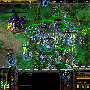 Battle for elven forest humans 2