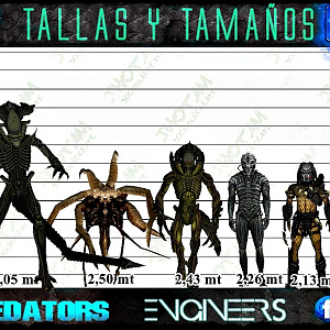 SIZES - Aliens, Predators, Engineers.