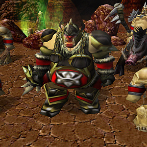 Ogre Warlord
