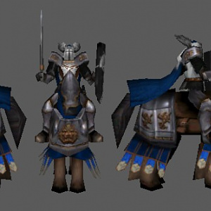 Dol Amroth Knight