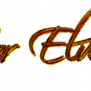 Logo 2.5