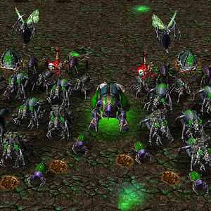 Scourge - Crypt swarm