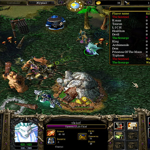 WC3ScrnShot_051917_162340_01