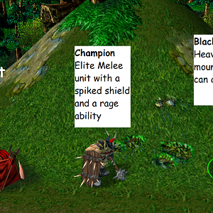 Elite Hut
