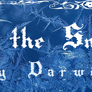 BannerSnowWitch