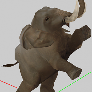 Wild Elephant