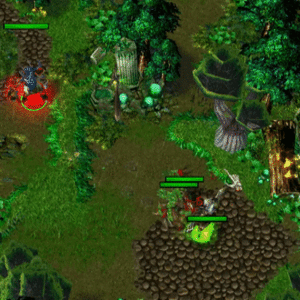 DRUID Force Of Nature