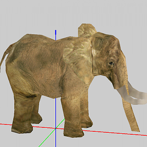 Wild Elephant New Skin