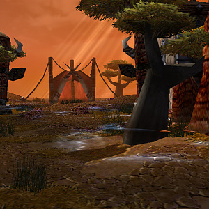 Terrain 7
