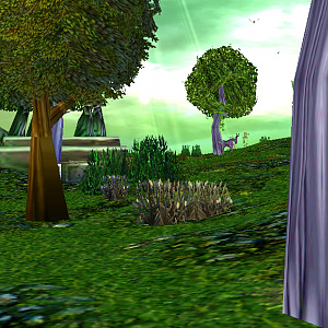 Terrain 8