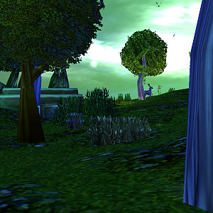 Terrain 9