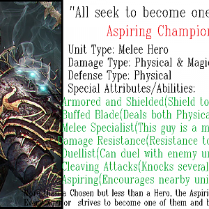 Aspiring Champion Info