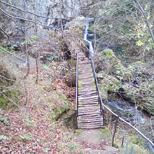 Bridge to Healing Waters