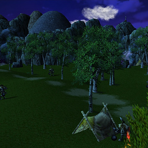 Forlarn Woods
