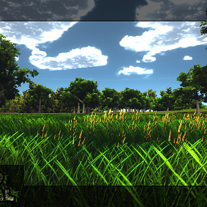 Grassland
