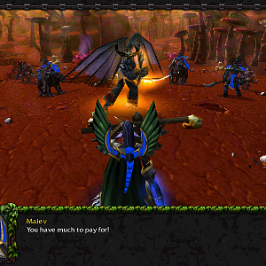 WC3ScrnShot_121117_105800_02