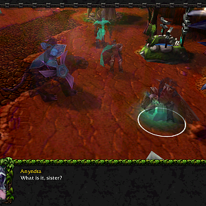 WC3ScrnShot_121117_110113_04
