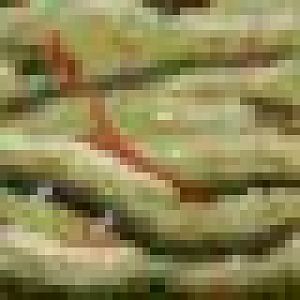 ProfileBorder01