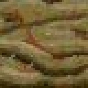 ProfileBorder02