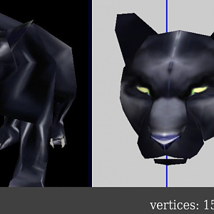 Panther, once again