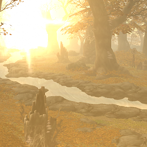 Autumn Leaves
