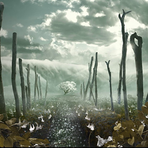 Bliss Field